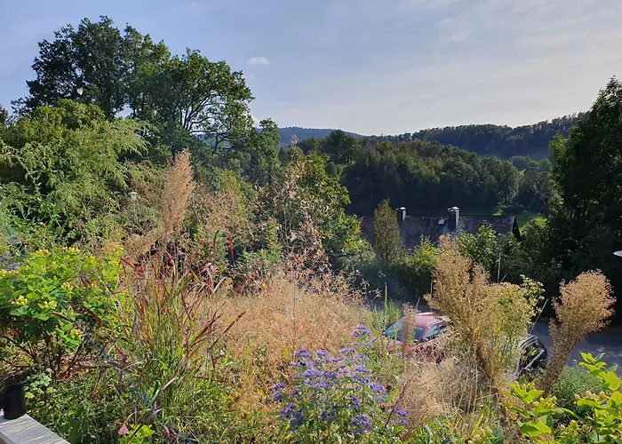 Odenwald-Lodge Mit Infrarotsauna Und E-Ladestation \