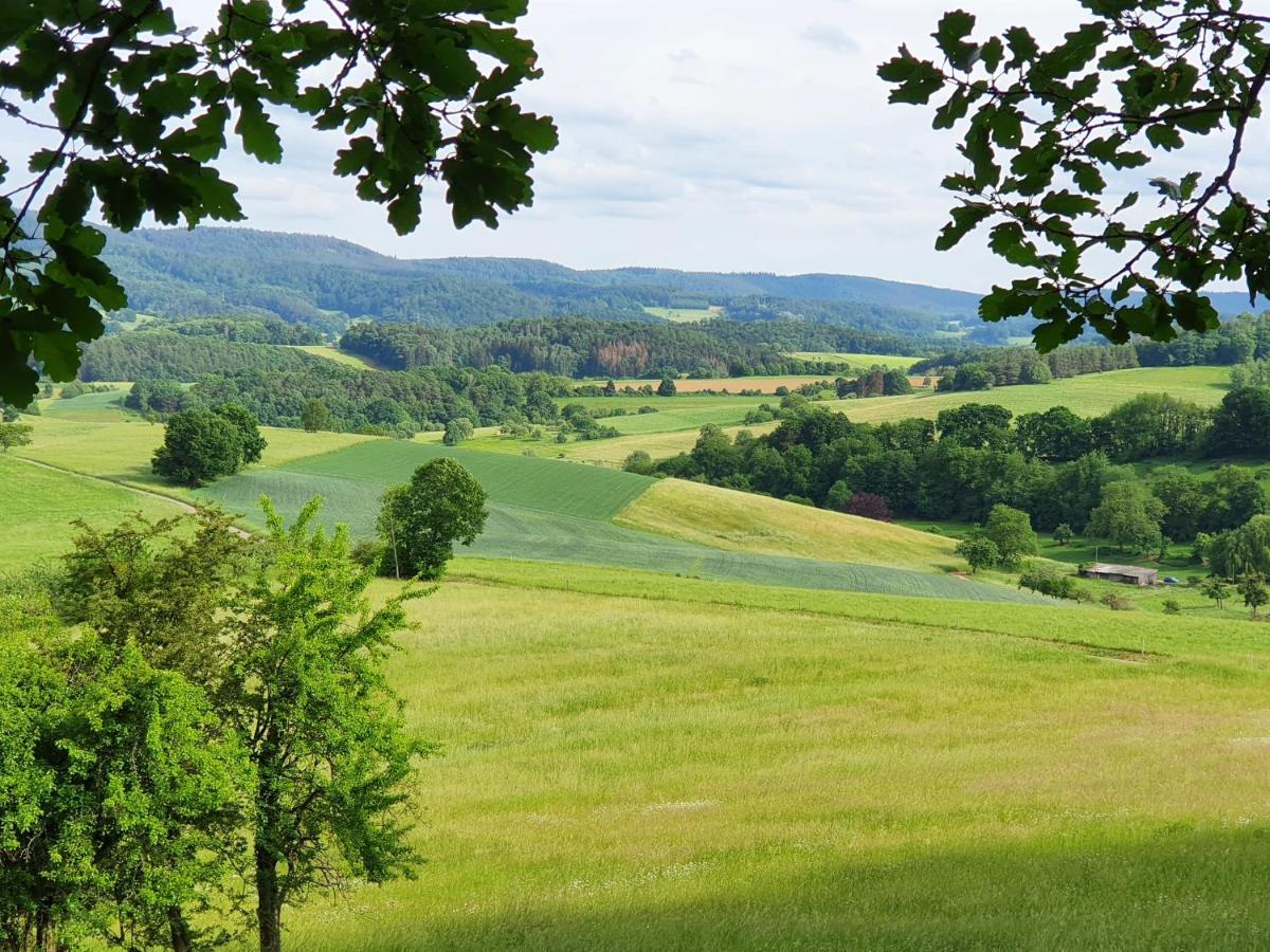 Holiday home Odenwald-lodge Mit Infrarotsauna Und E-ladestation 