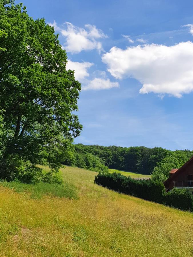 Odenwald-lodge Mit Infrarotsauna Und E-ladestation 