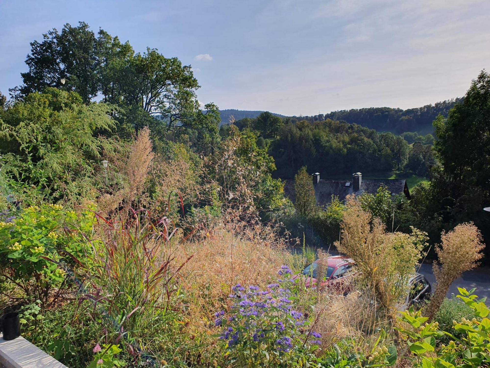 Holiday home Odenwald-lodge Mit Infrarotsauna Und E-ladestation 